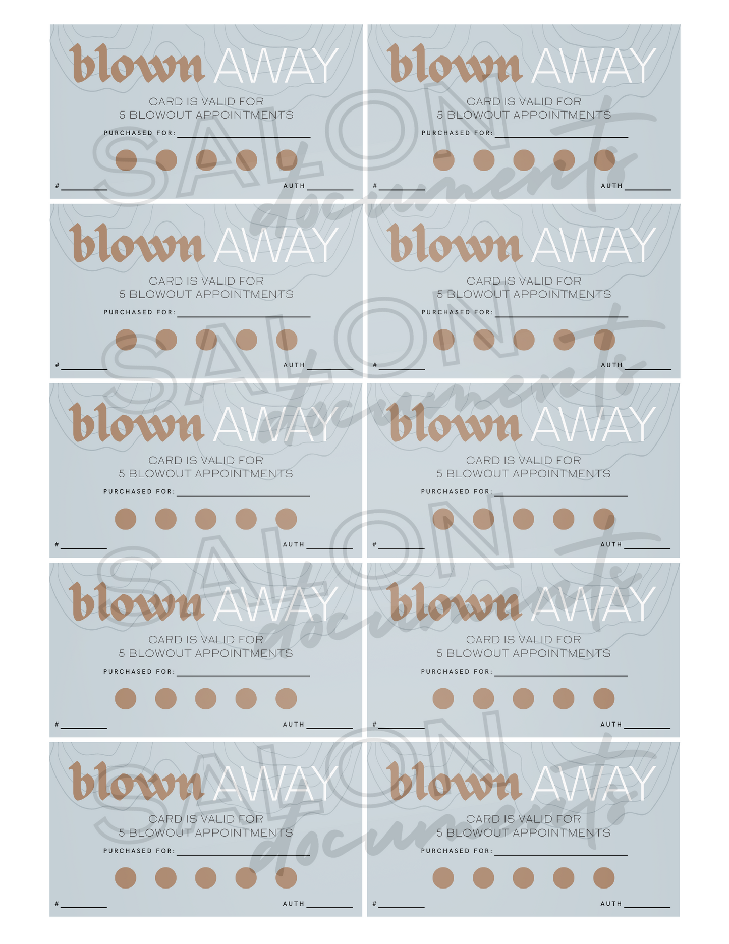 Modern Vibe: Blowout 5 Appointments